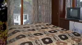 Kasauli Woods Room View