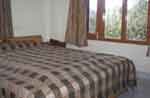 kasauli woods room